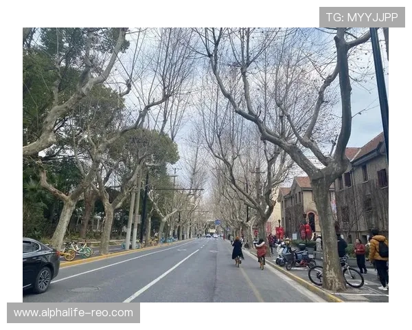 2024年最稳定的ag厅k8登录线路推荐，助你轻松畅玩线上娱乐平台