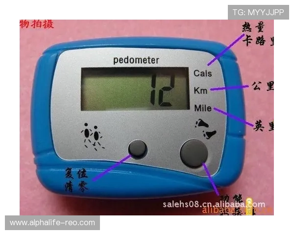 AG登录入口常用功能介绍及操作指南