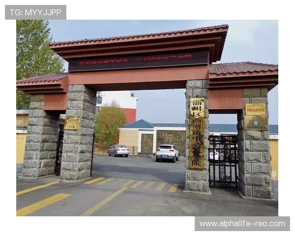 凯发真人城市场推广策略：多渠道营销助力平台品牌影响力持续扩大